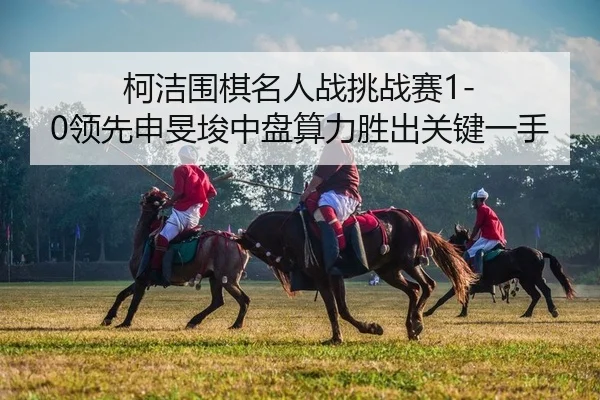 ke-jie-wei-qi-ming-ren-zhan-tiao-zhan-sai-ling-xian-shen-min-jun-zhong-pan-suan-li-sheng-chu-guan-jian-yi-shou-2-798.jpg